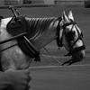 link_photoB_02.jpg
