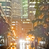 link_photoC_02.jpg