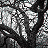 link_photoC_04.jpg