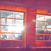 link_photoC_06.jpg