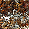 link_photoC_07.jpg