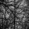 link_photoC_08.jpg