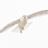 link_photoC_13.jpg