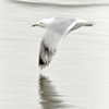 link_photoC_14.jpg
