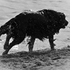 link_photoC_27.jpg