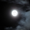 link_photoC_29.jpg