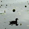 link_photo_06.jpg