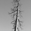 link_photo_10.jpg
