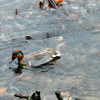 link_photo_15.jpg