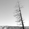link_photo_19.jpg