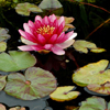 link_photo_32.jpg