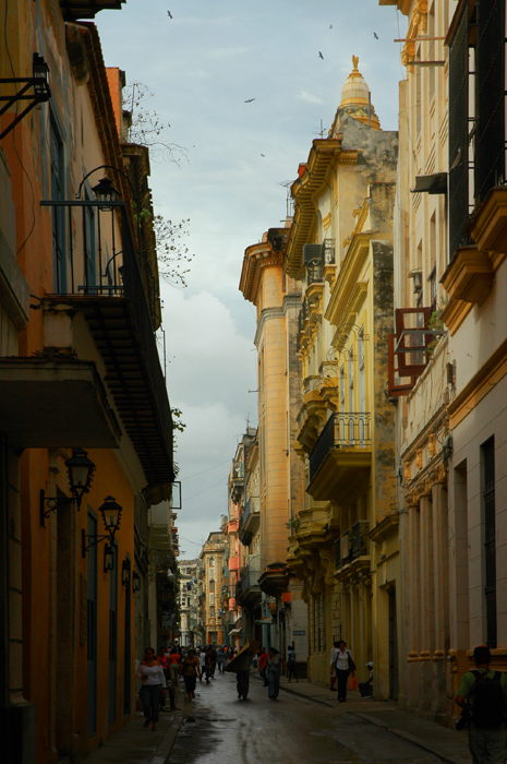 photoB_05_yellowstreet.jpg