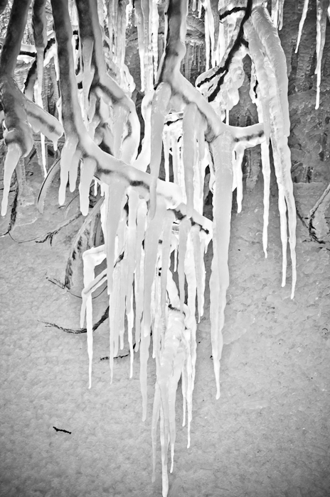photoC_11_icicles.jpg