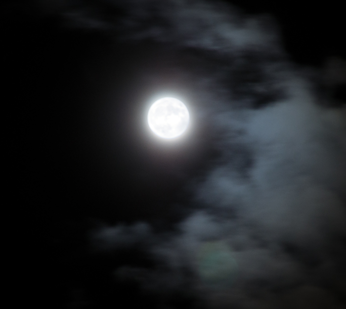 photoC_29_bluemoon.jpg