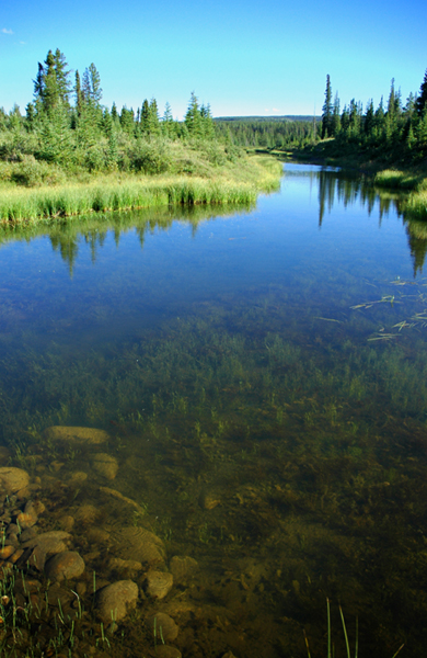 photo_02_jasperstream.jpg