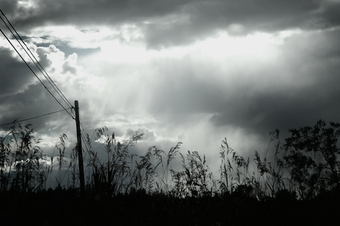 photo_03_Stormfield.jpg