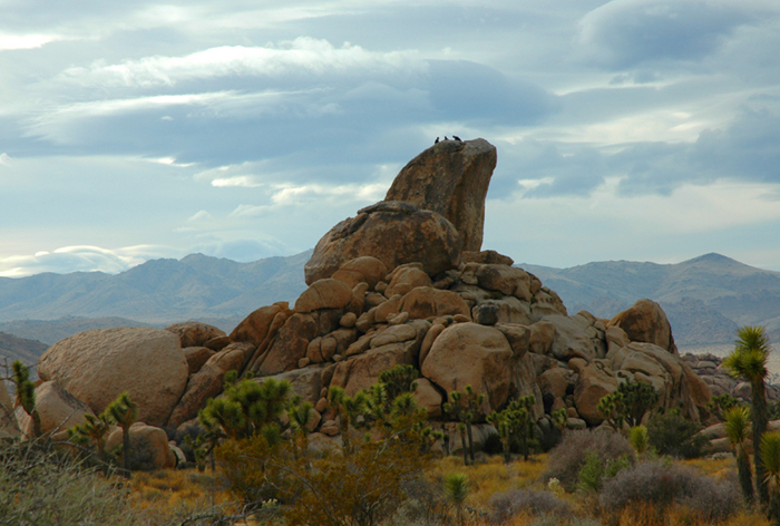 photo_22_jacobtreerock.jpg