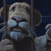 link_still_07.jpg