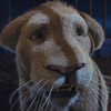 link_still_08.jpg