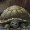 link_still_13.jpg