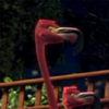link_still_14.jpg