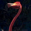 link_still_15.jpg