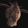 link_still_23.jpg